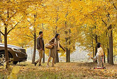 官方修改购买规则 《方舟：生存进化》次世代版拆分出售 玩家不买账：卖得更贵了